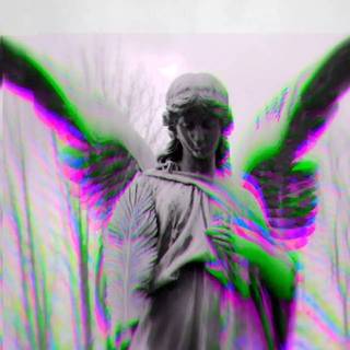 Diss中国有嘻哈《包括diss back》