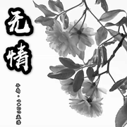 无情 (伴奏)