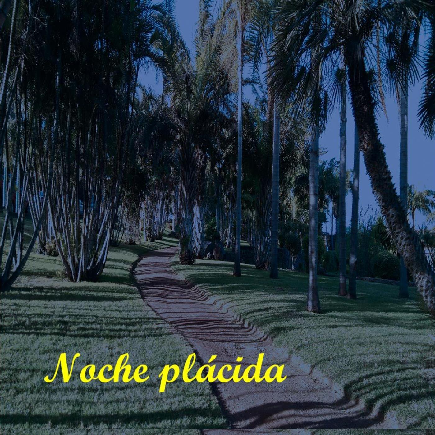 Noche Plácida