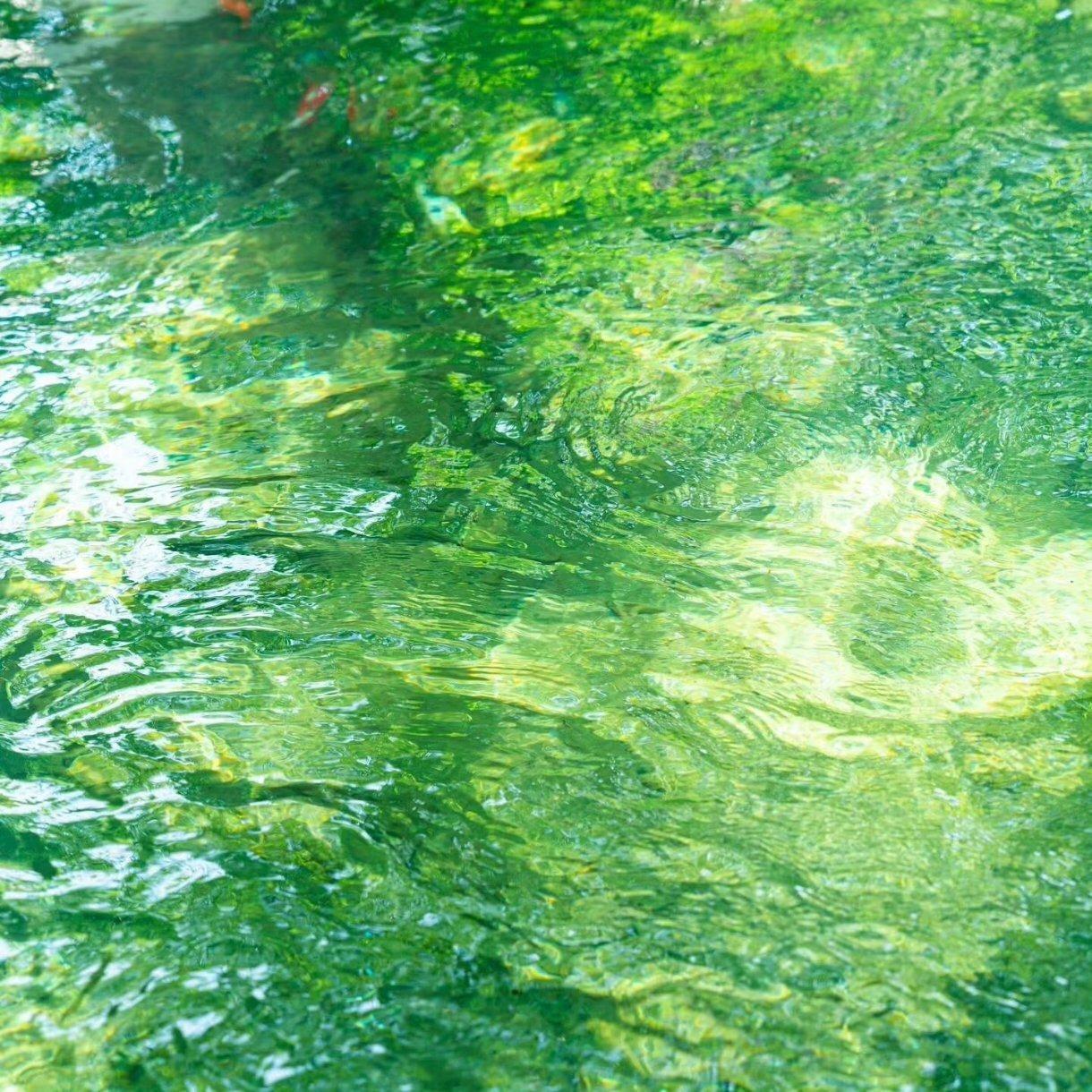 铃芽之旅（小提琴版）