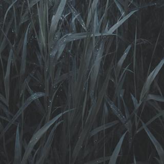 你全家都可爱？