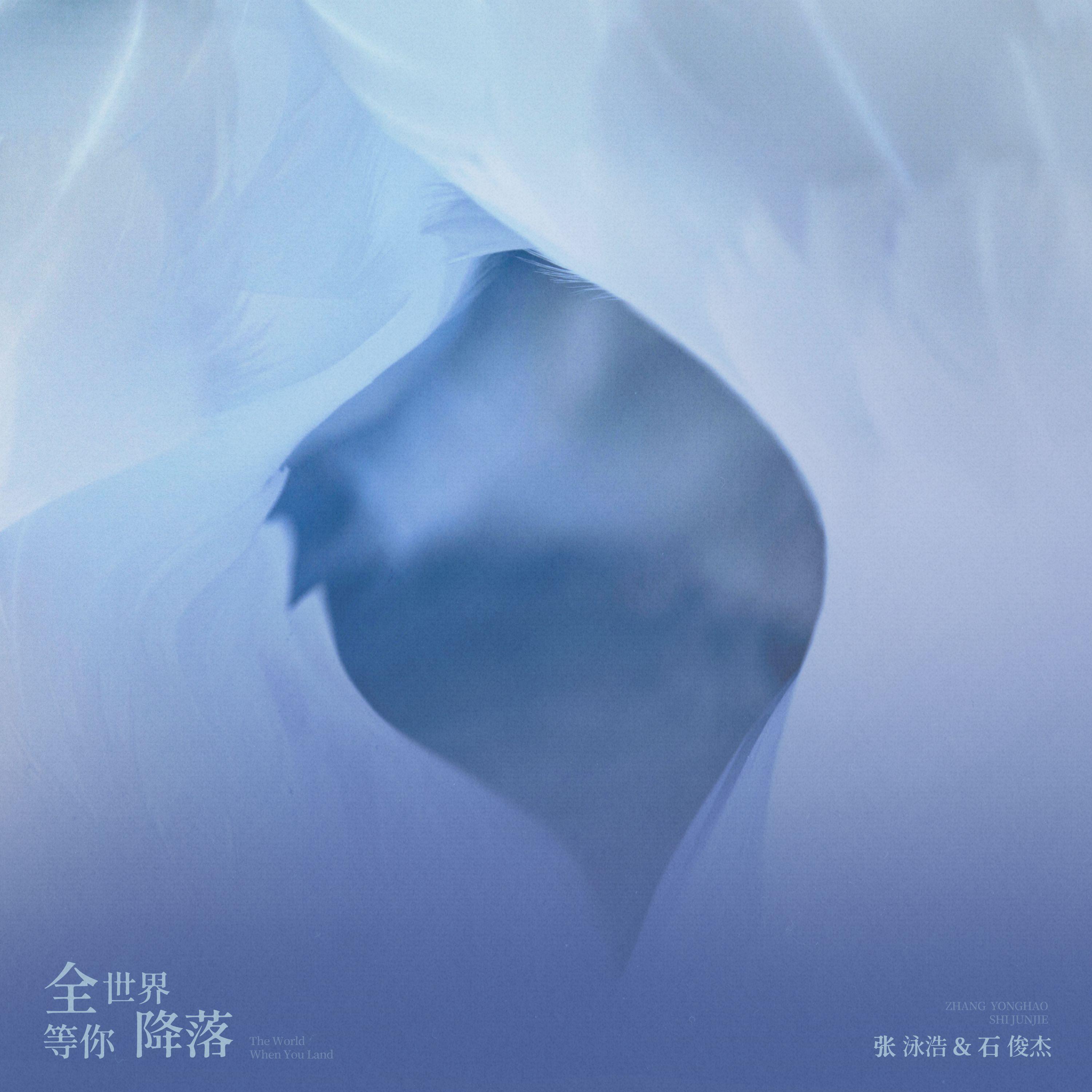 全世界等你降落