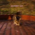 SCAREDY CAT