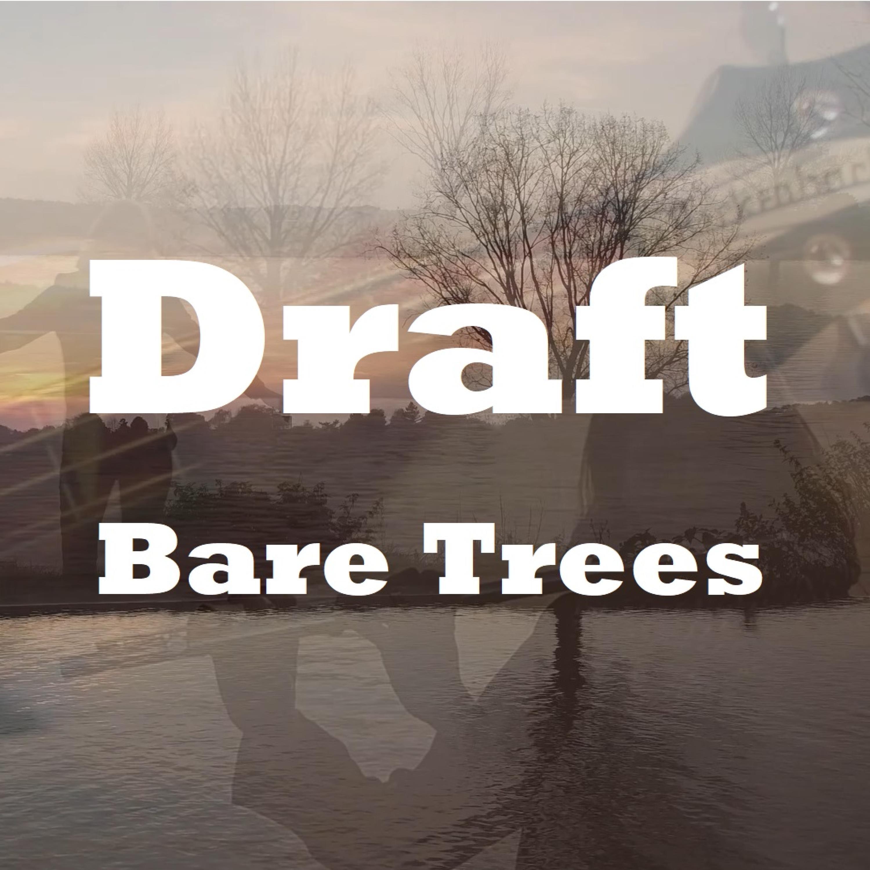 Bare Trees