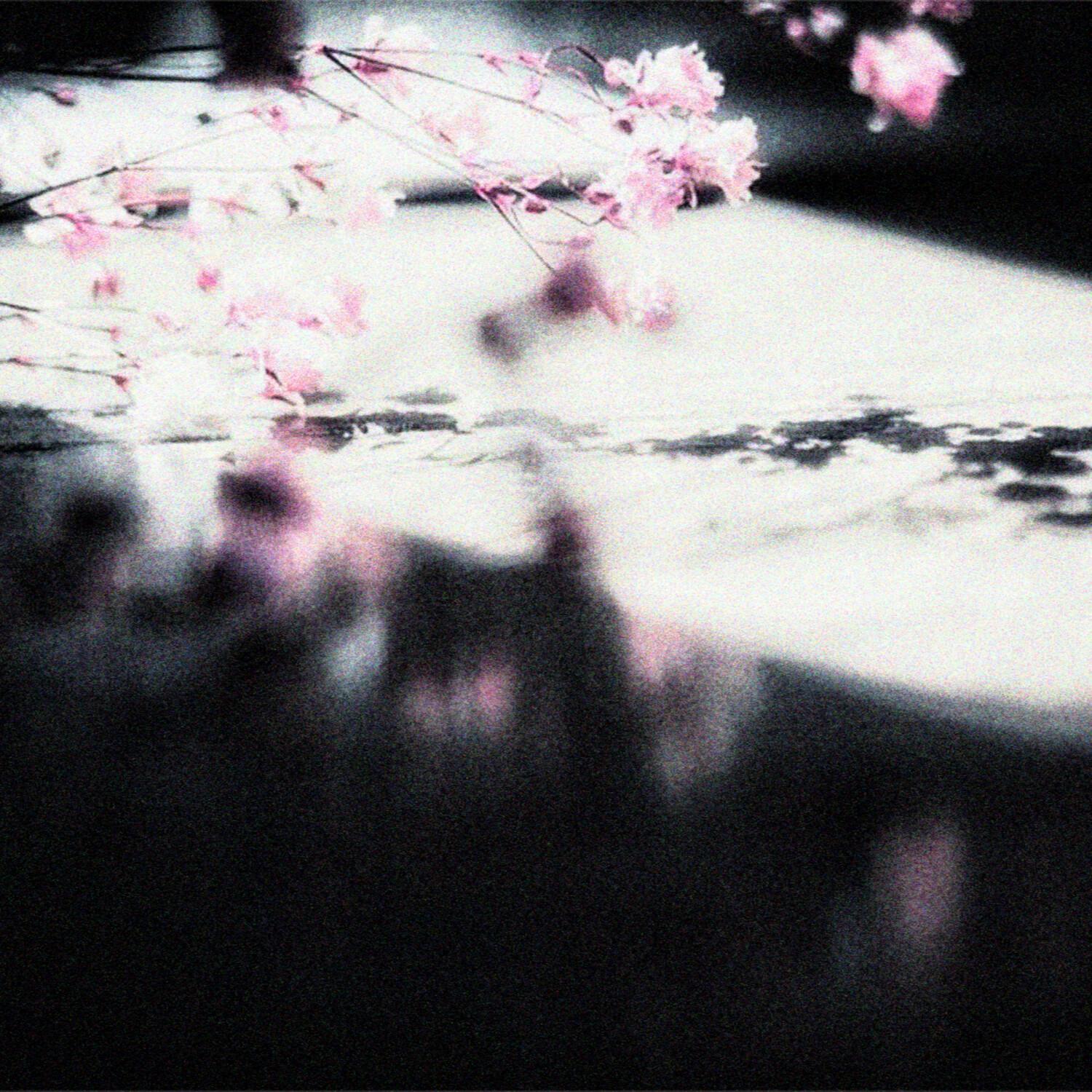 welcome and goodbye (cover)