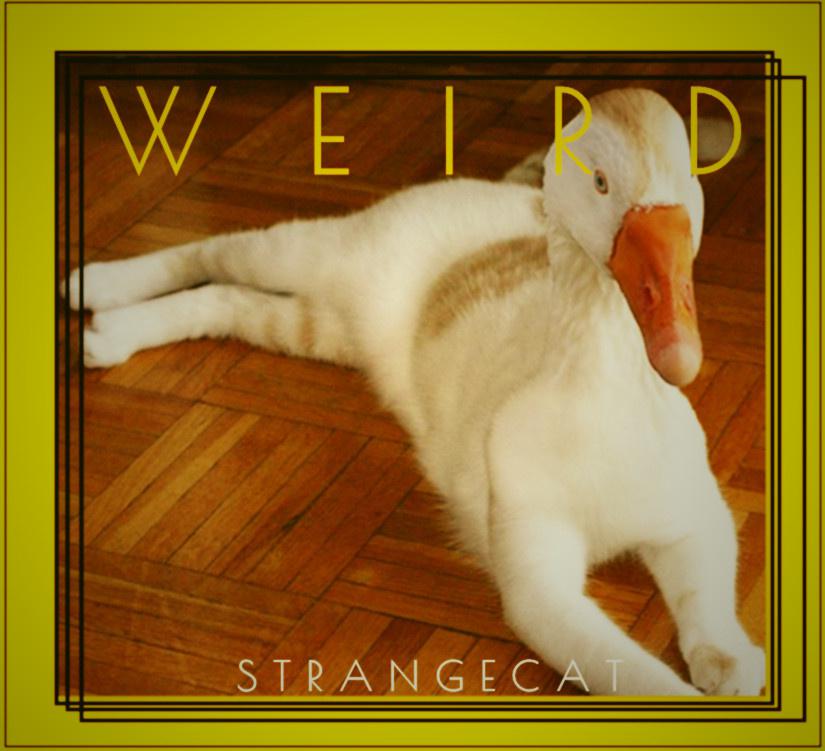 怪WEIRD专辑