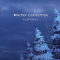 Winter Collection