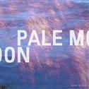 Pale Moon专辑