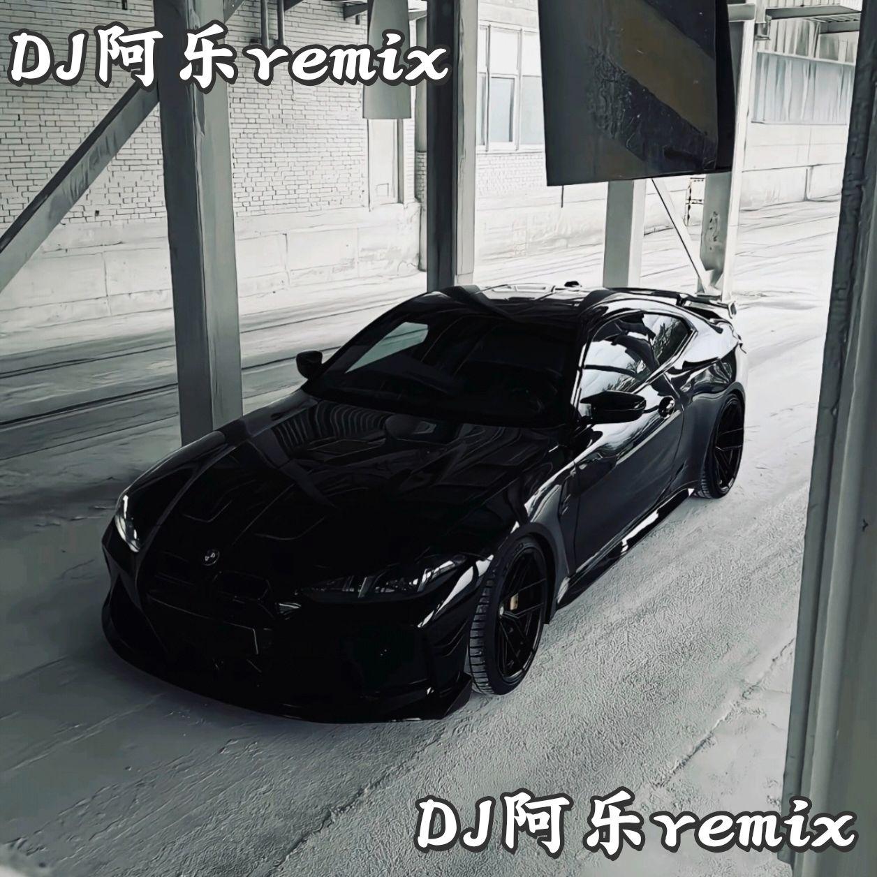 DJ阿乐remix - 柏林旋律vol.4 你在不在