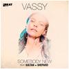 Vassy - Somebody New (feat. Sultan + Shepard)