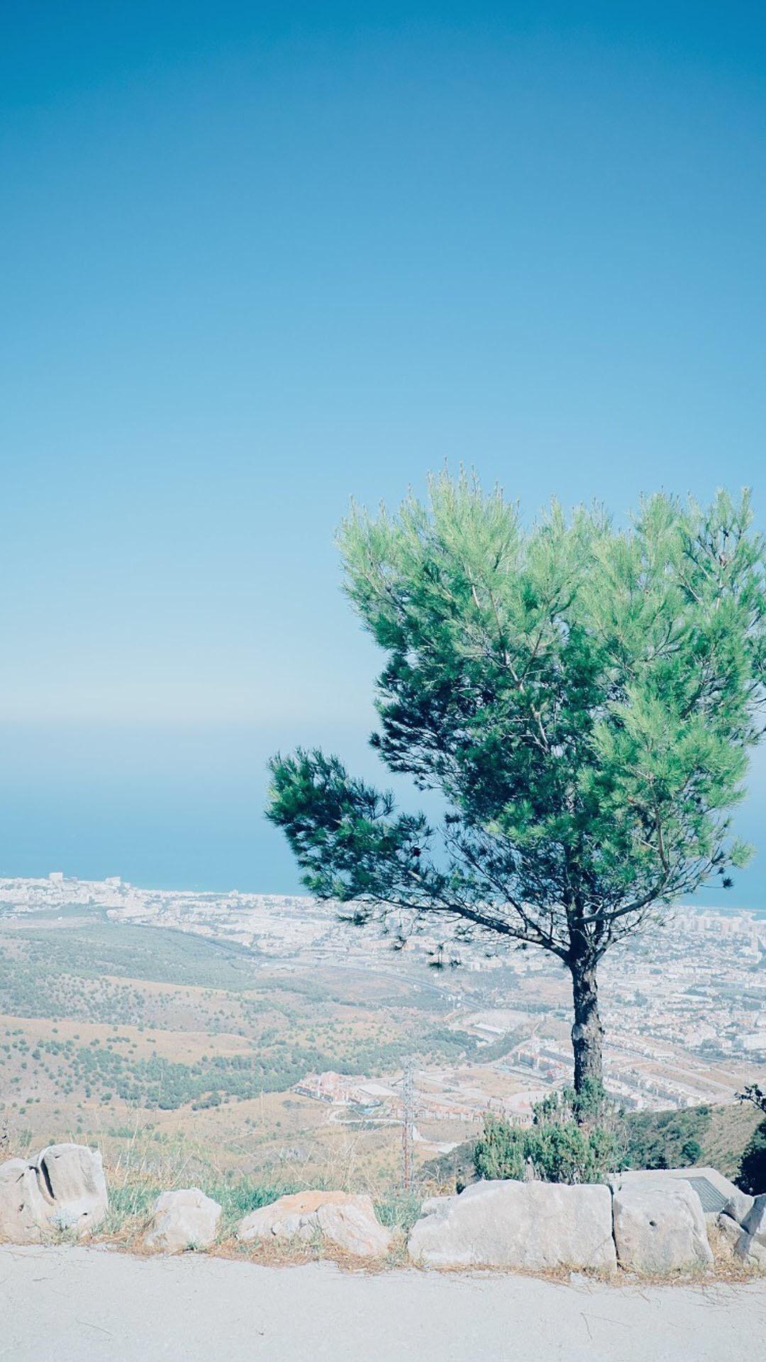 我说风景，你说好专辑