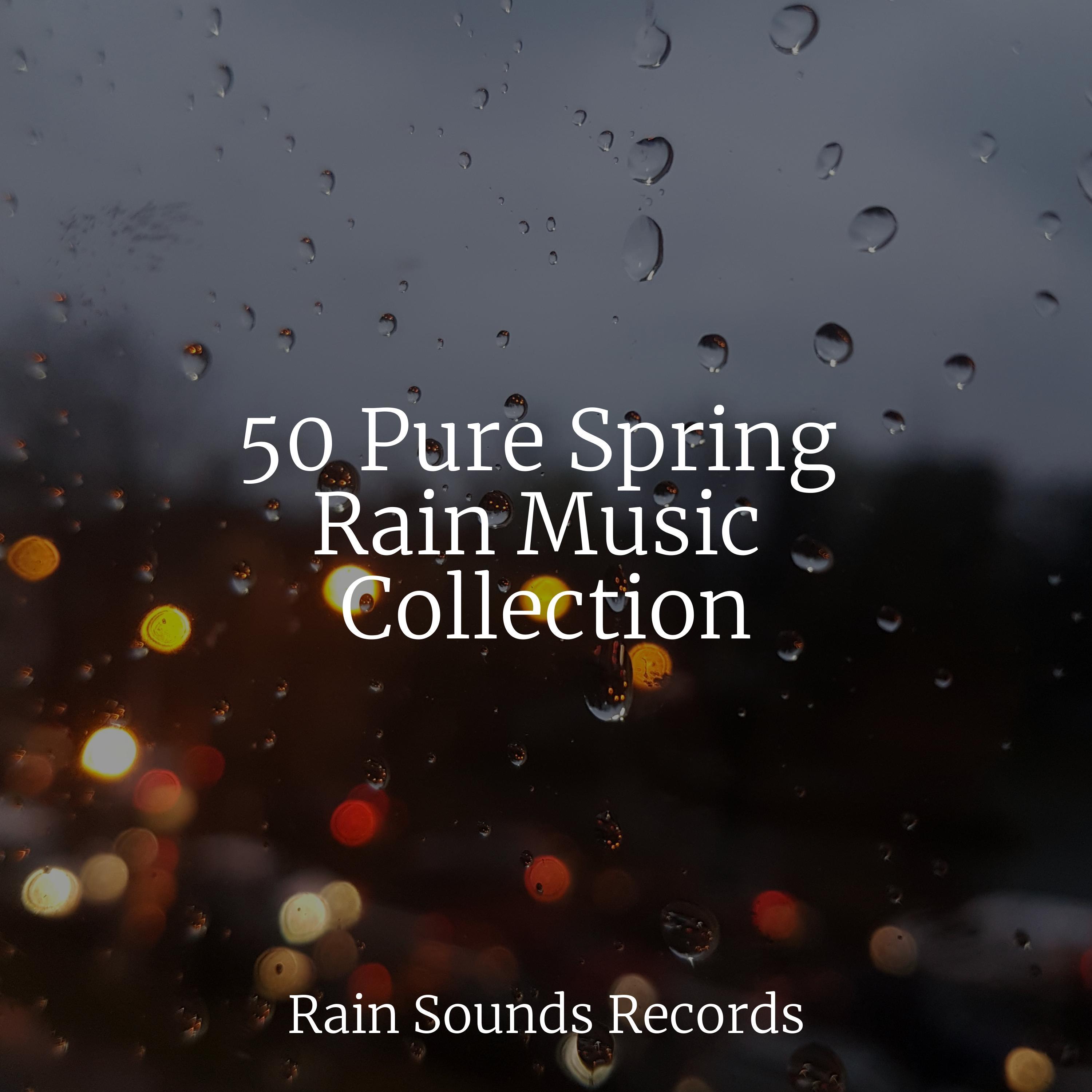 50 Pure Spring Rain Music Collection