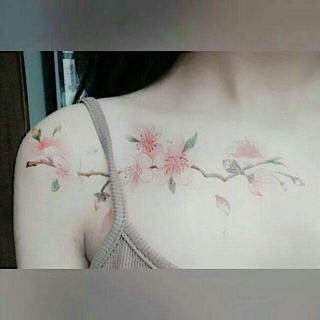 【清澈女声】古风合集，倾城我愿。