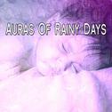 Auras Of Rainy Days专辑