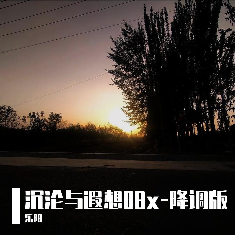 沉沦与遐想08x-降调版