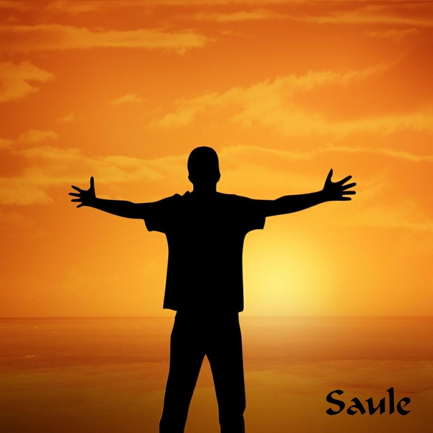 Saule