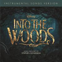 Into The Woods - On The Steps Of The Palace (karaoke)