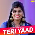 Yaad Meri - Single