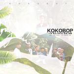 【速翻_EXO】Ko Ko Bop专辑