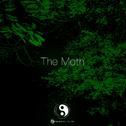 The Moth专辑
