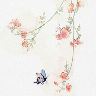 「以花为名」唱的都是“花言巧语”