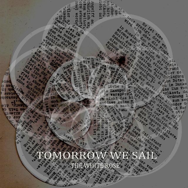 The White Rose