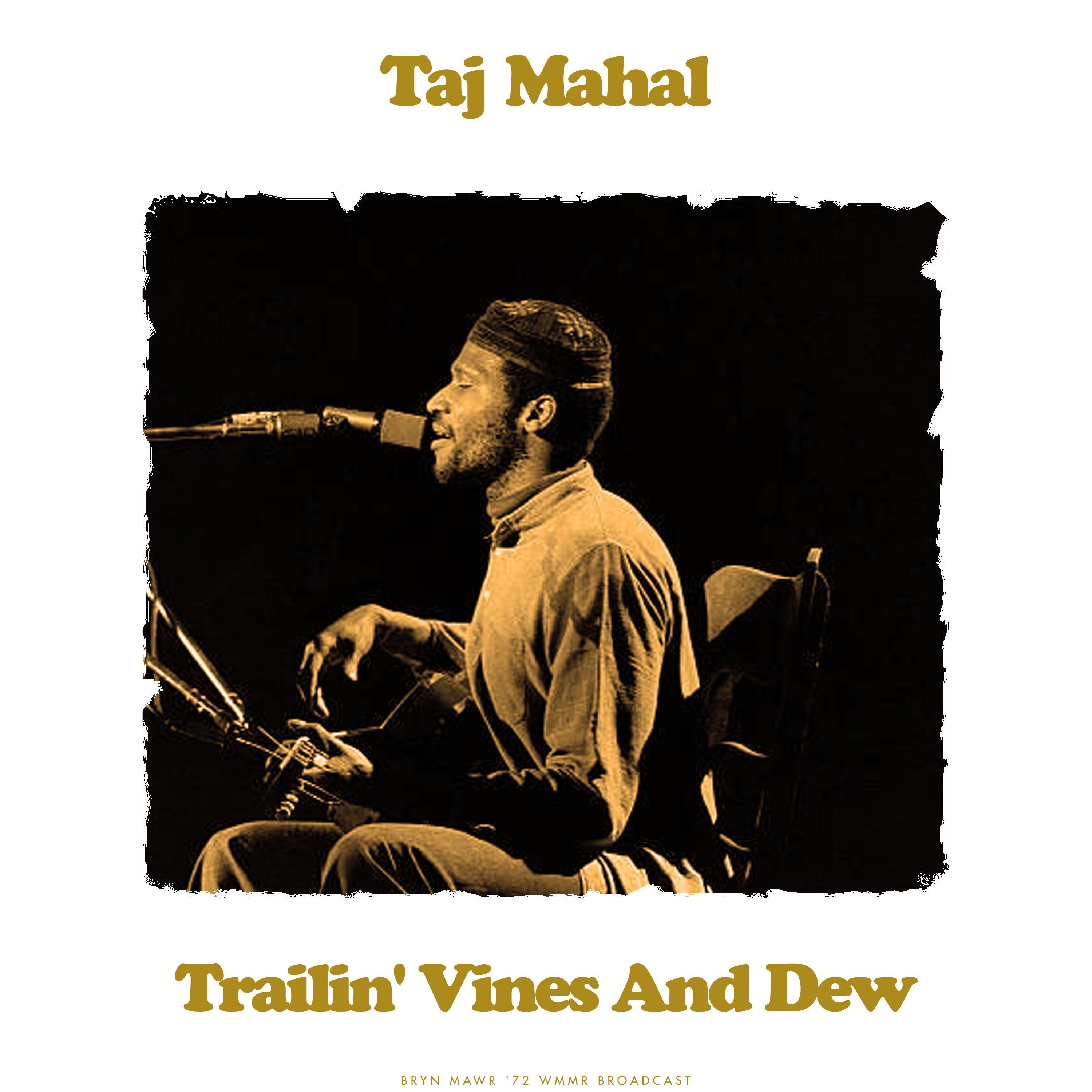 Taj Mahal - Corinna (Live)