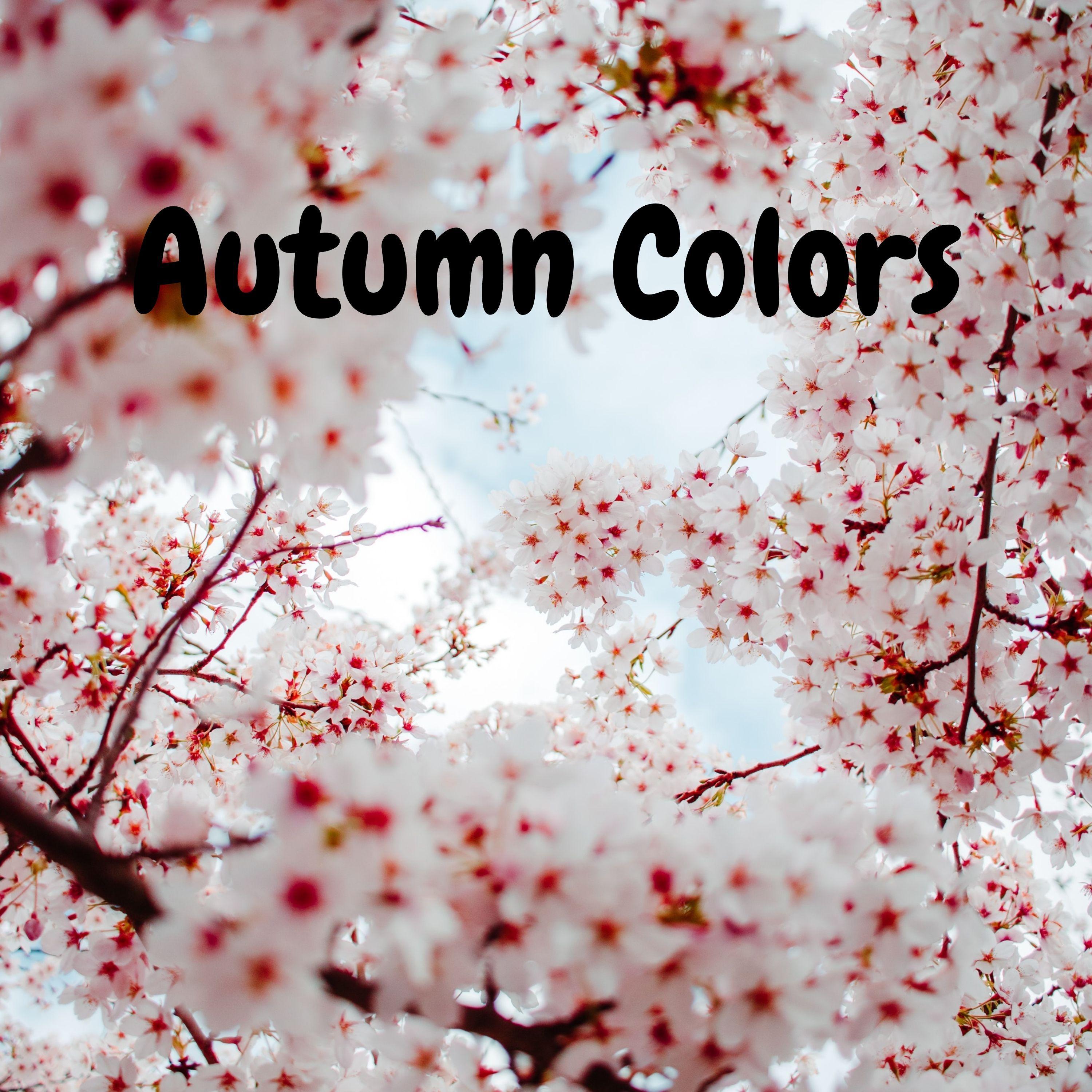 Autumn colors