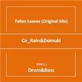 Fallen Leaves (Cn_Rain Remix)