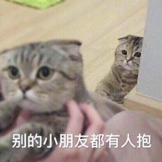Chinese Artist right here!｜祖国嘻哈
