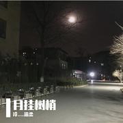 月挂树梢