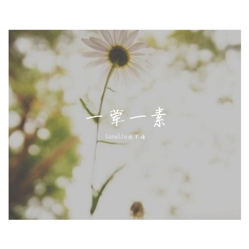 一荤一素