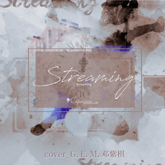 Streaming（G.E.M.邓紫棋金曲奖live）