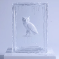 ICEMAN