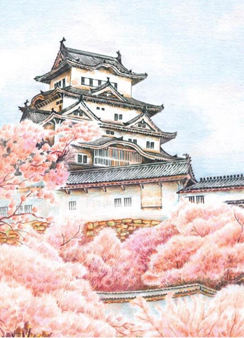 他与城