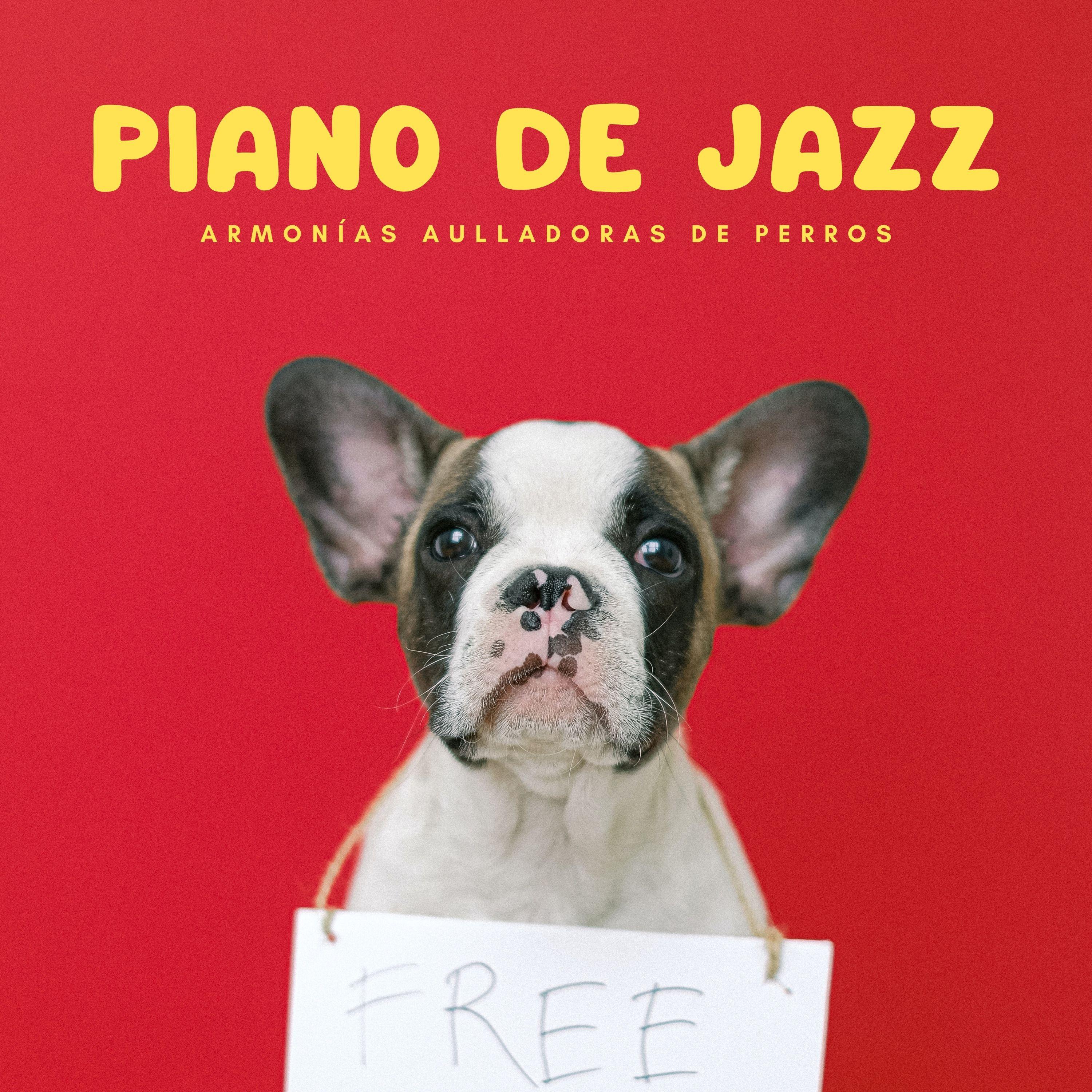 Piano de jazz relajante - Progresiones Purrfectas