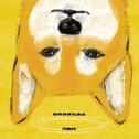 如果我要先离去专辑