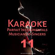 Karaoke Parfait Instrumentals Musicians & Singers, Vol. 11专辑