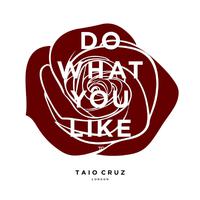 Taio Cruz - Do What You Like (KREAM Extended Instrumental Remix) 原版无和声伴奏