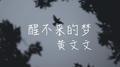 醒不来的梦专辑