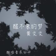 醒不来的梦