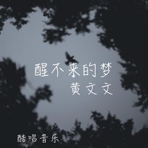 黄文文-醒不来的梦 伴奏 （升7半音）