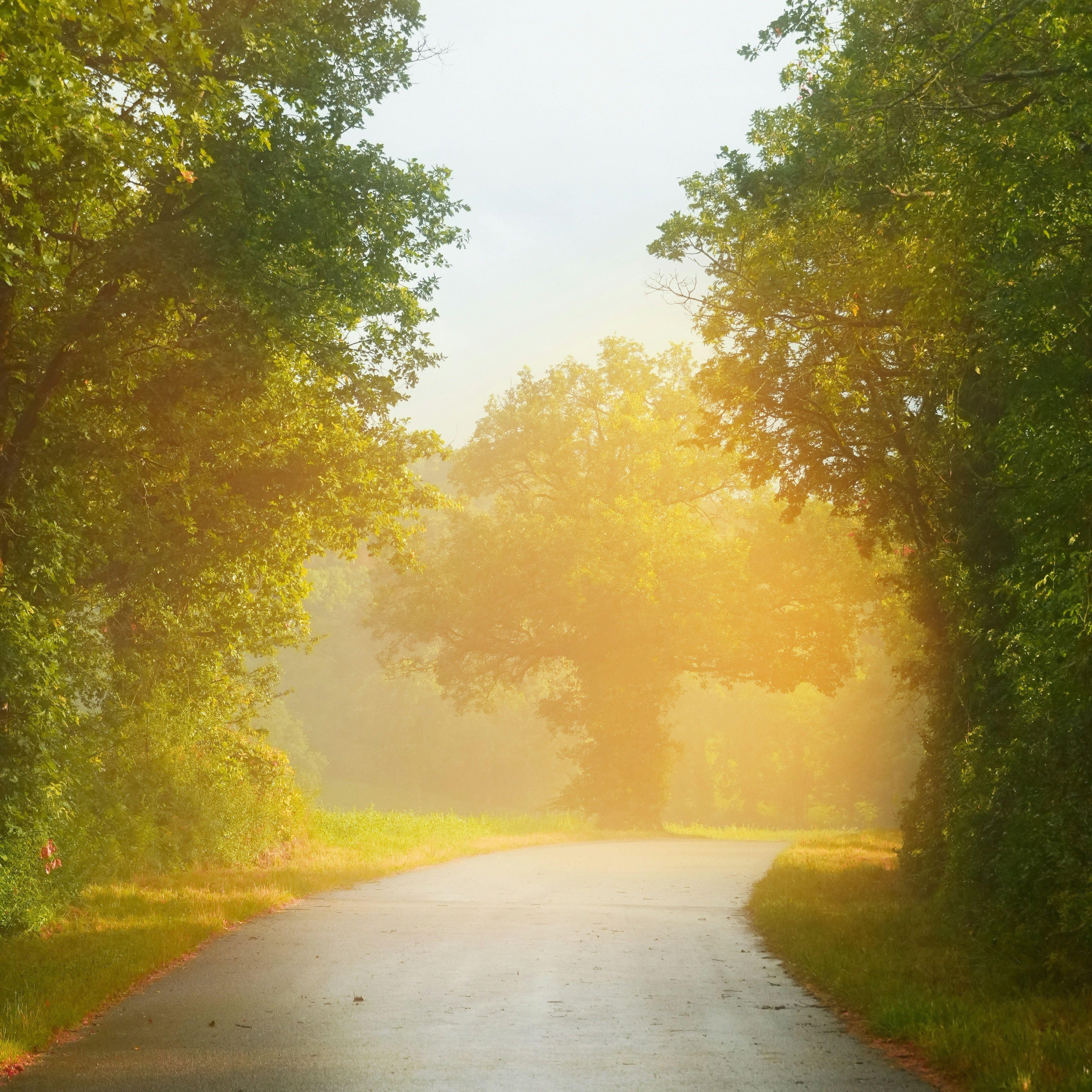 After Rain