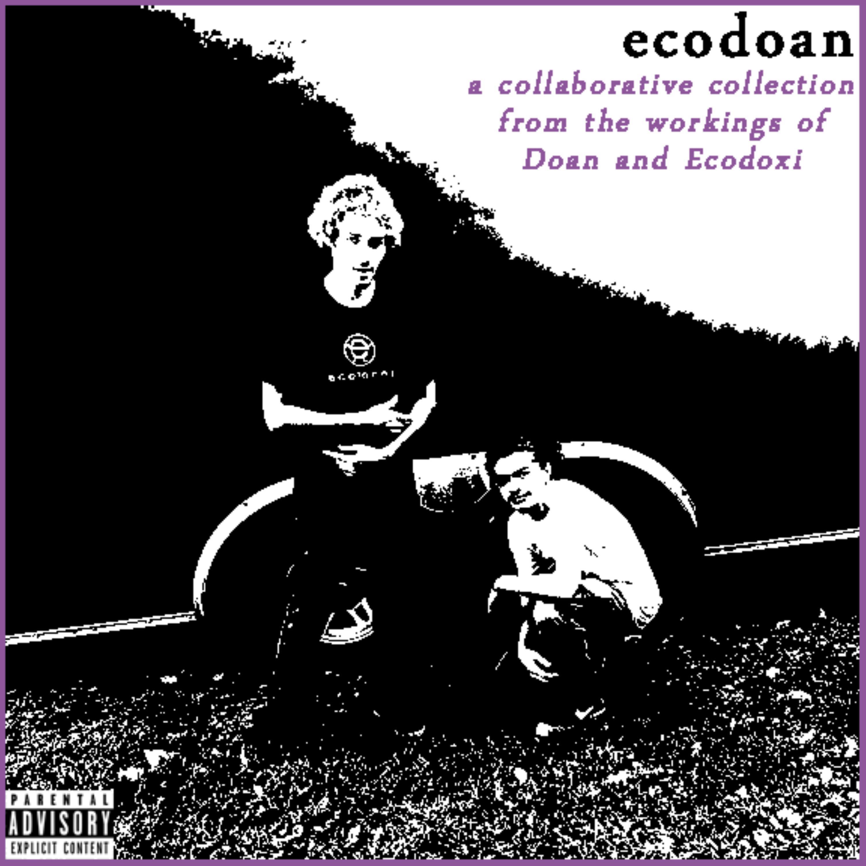 ECODOAN
