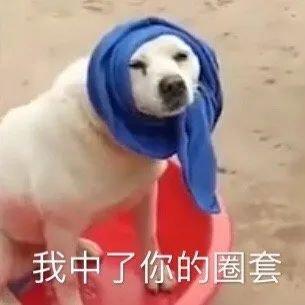 运动、健身、必备！英文、动感、节奏！