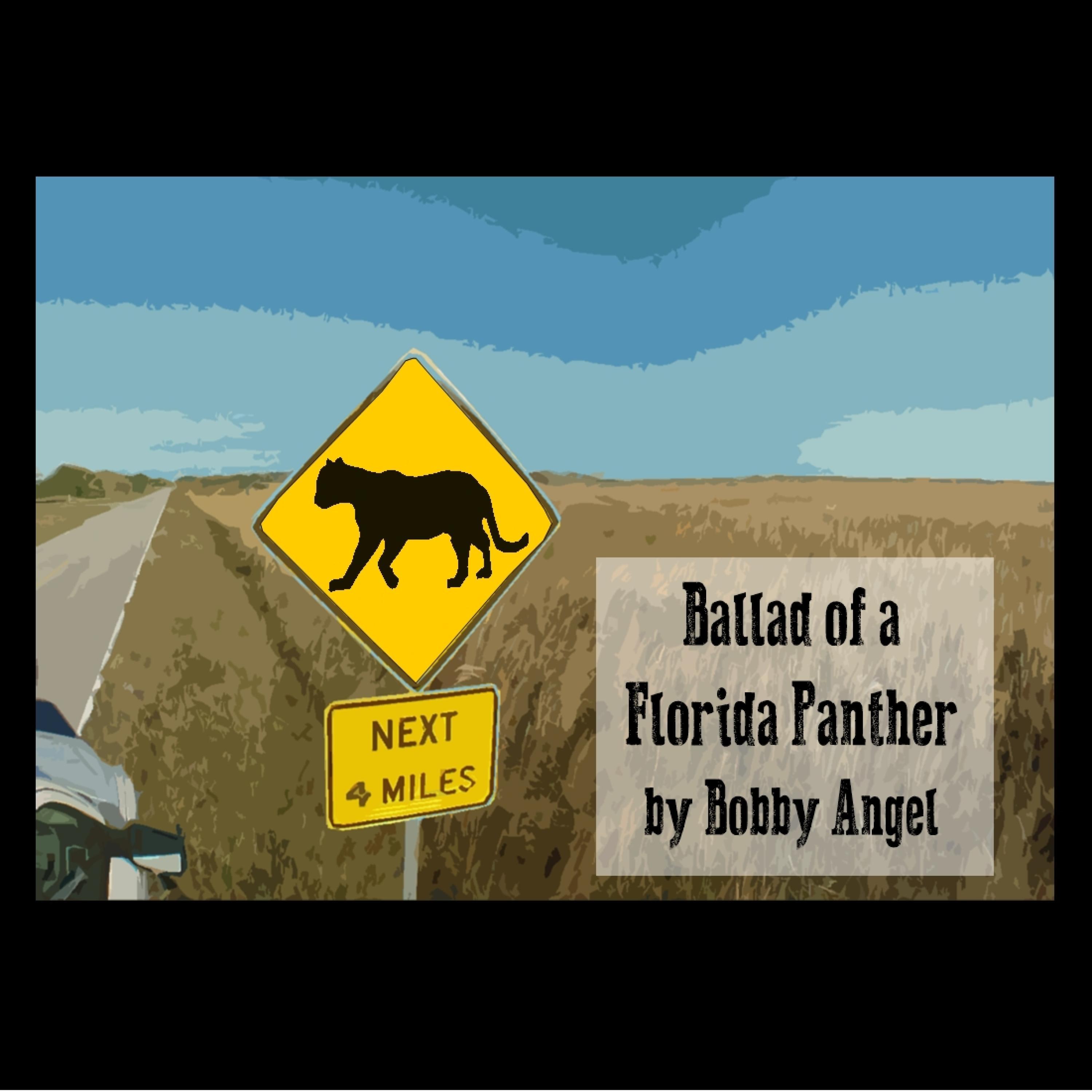 Ballad of a Florida Panther