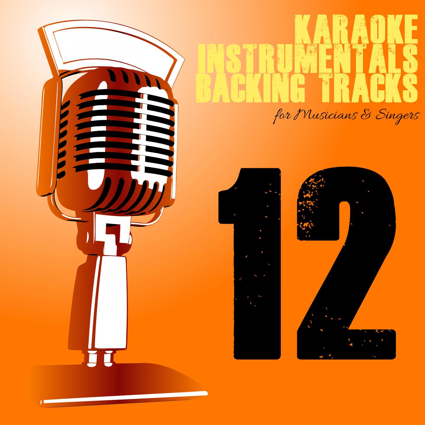 Karaoke, Instrumentals, Backing Tracks, Vol. 12专辑