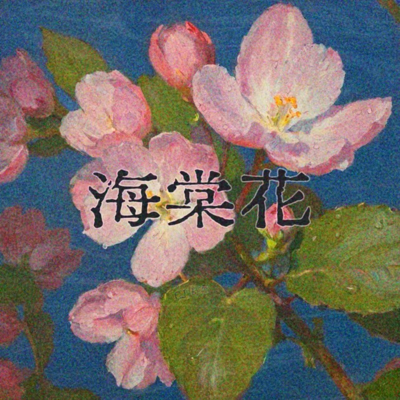 海棠花