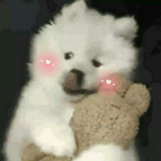 闹钟铃声（起来上网课了）