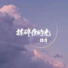 揉碎夜的光（片段）